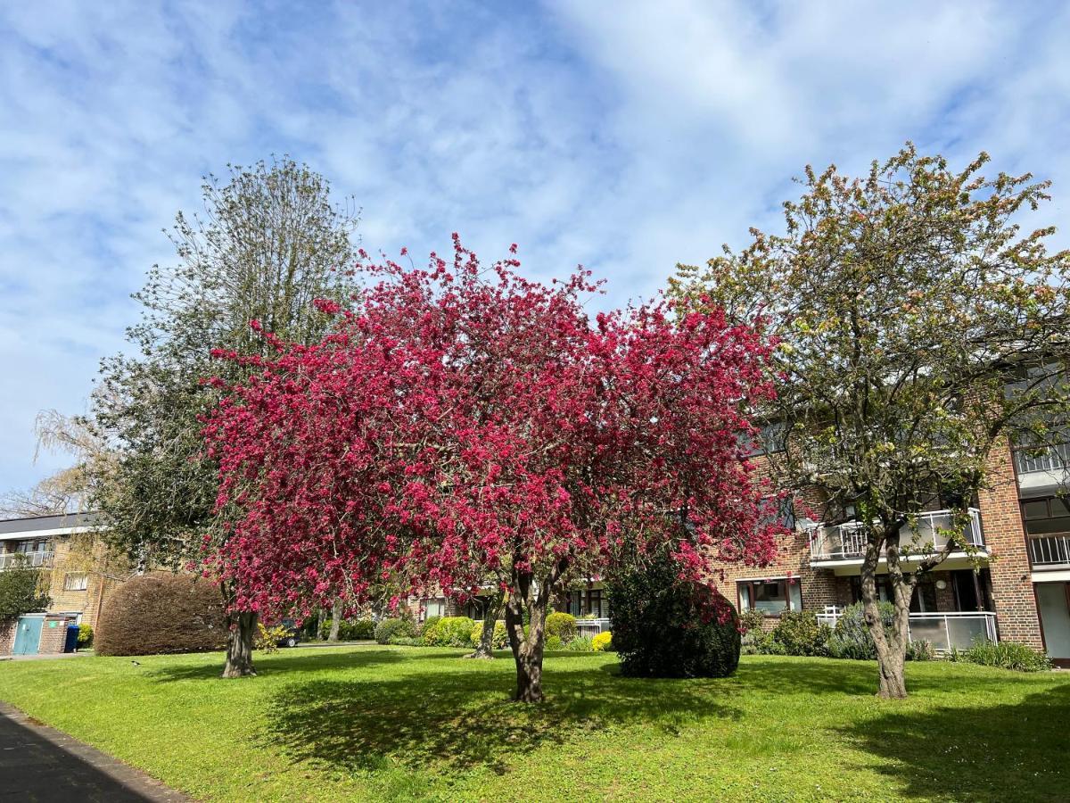 Maisonette Brecon Court Eltham Exterior photo